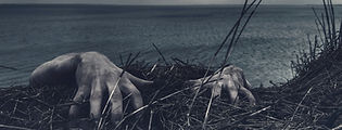 Image by Daniel Jensen