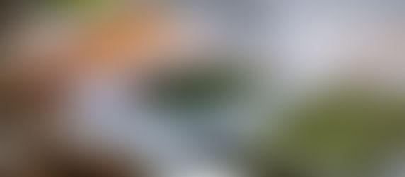 Design Your Own Weekly Family Meal Planner in Canva