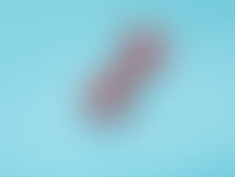 Mental Stimulation for your dog.