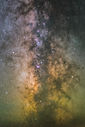 Image de Bryan Goff