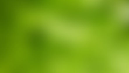 Green Investing in a Shifting Political Climate