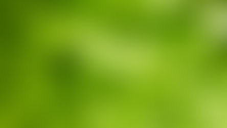 Green Investing in a Shifting Political Climate