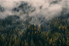 Image by Vadim Sherbakov