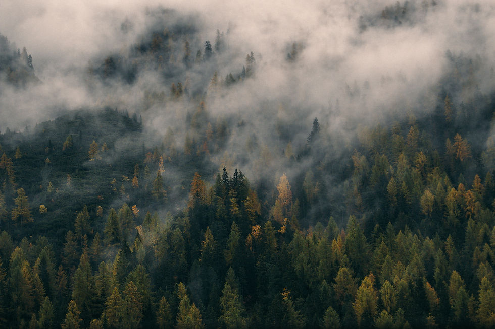 Image by Vadim Sherbakov