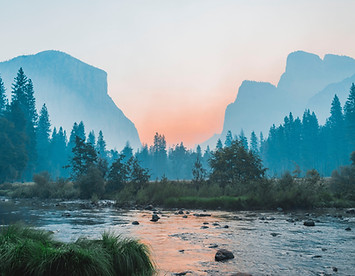 Image by Bailey Zindel