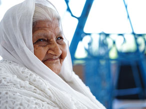 The Portrait of a Lady | Summary with NCERT Solution & Extra Questions