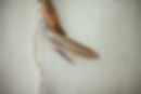 Support for holistic healers and wellness practitioners in Portland, OR