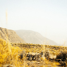 Image by Mzimasi Ndzombane