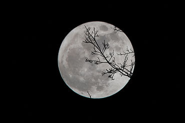Image by David Dibert