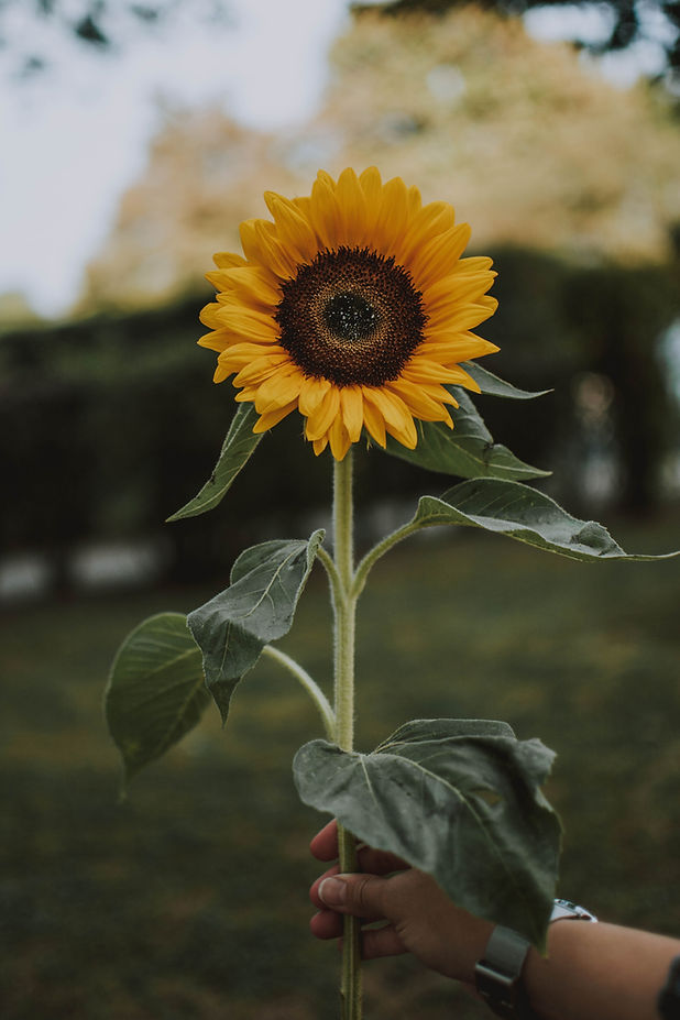 Image by lilartsy