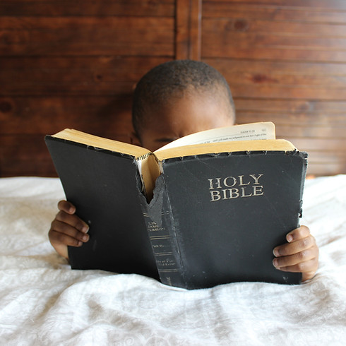 Image by Samantha Sophia