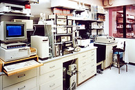 Image by National Cancer Institute