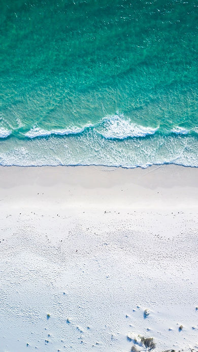 Image by Harry Holder