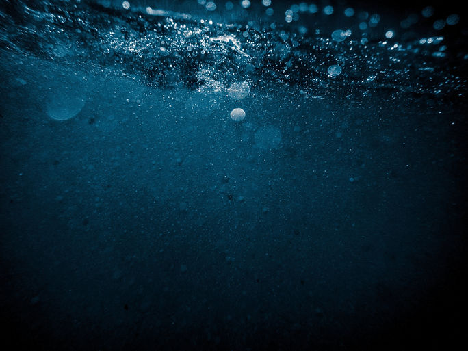 Image by will terra