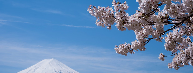 japan tours for families Image by Daniel Hehn