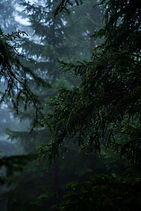 Image by Jonathan Klok