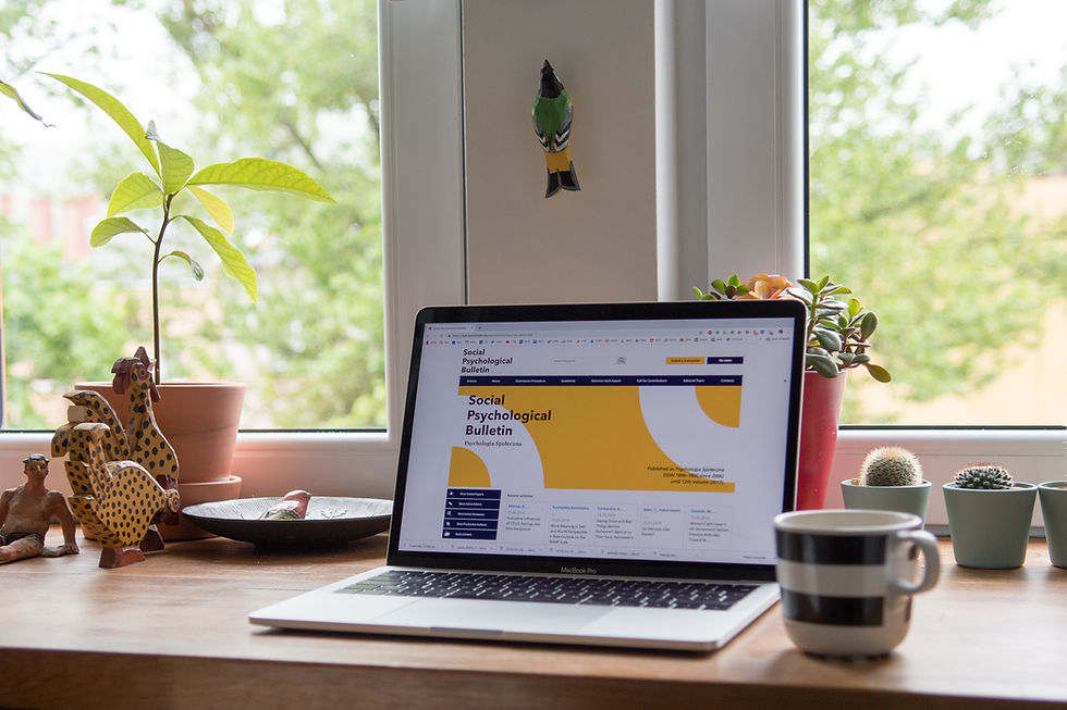 Website Design Sample