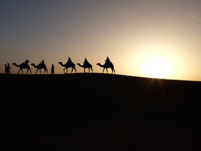 The wise men with camels looking for King Jesus