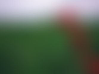 Happy Akshaya Tritiya!!!