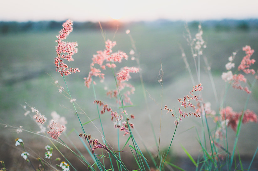 Image by Kien Do