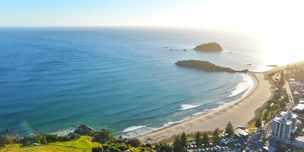 TAURANGA INFORMATION MEETING