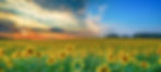 Kansas