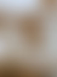 the devolution of vulnerability 