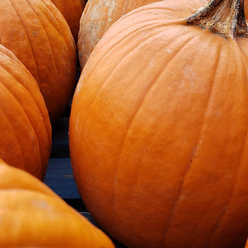 Pumpkin