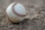 Baseball Fellowship