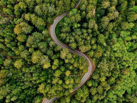 Assessing Drivers and Impacts of Wildfires in Colorado: A Geospatial and Climate-Informed Approach to Risk Mitigation by Olivia Fang and Saiee Brunda Devireddy