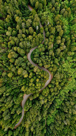 Image by Venti Views