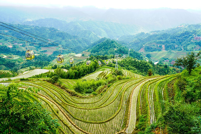 Image de Man Chung
