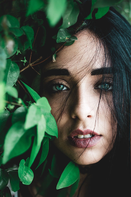 Image by Carol Oliver