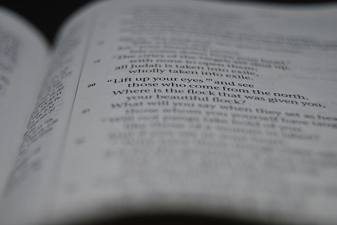 Image by Chad Kirchoff