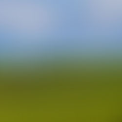 Дижиталчлал: Тээврийн салбарын тогтвортой хөгжлийн шийдэл