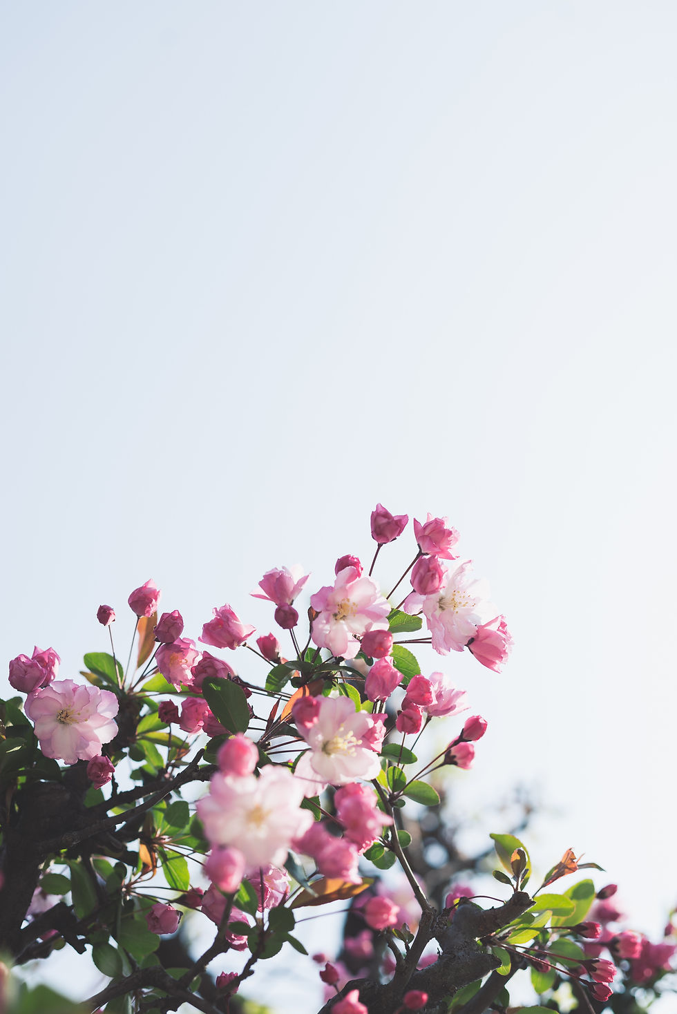 Self Care Day to Get Unstuck- POSTPONED