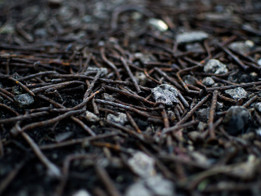 What Jesus Christ Had Done (What I Have Become 4)