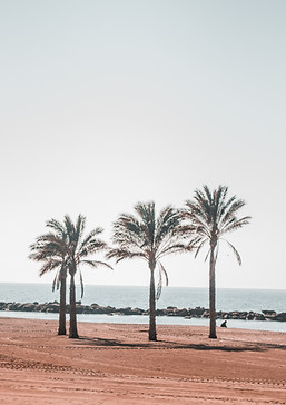Image by Eliott Van Buggenhout