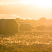 Image de Stephen Radford