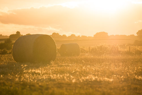 Image by Stephen Radford