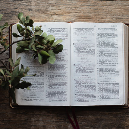 Open Bible on a wooden surface with green leaves