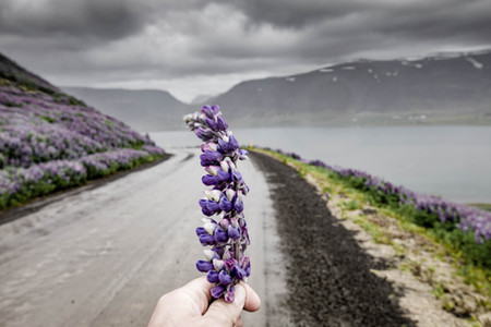 Westfjords