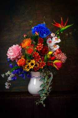 Image by Marcella Marcella