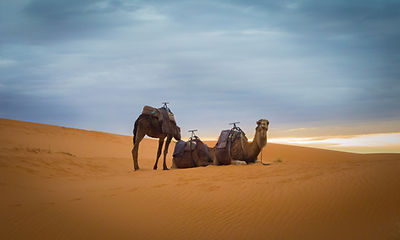 Image de Karim MANJRA