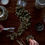 Thumbnail: Marijuana Use, Abuse & Dependence, 5 CE Hours