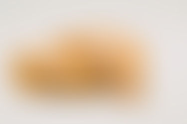 Orange python with patterned scales rests on white background, coiled and facing forward. The setting is neutral and calm.