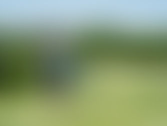 Cómo influye el urbanismo en la valorización de proyectos residenciales en Mérida