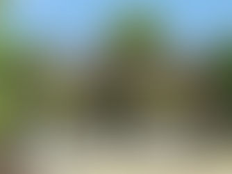 EL ATMANIN ÖNLENMESİ DAVASI (MÜDAHALENİN MEN'İ)