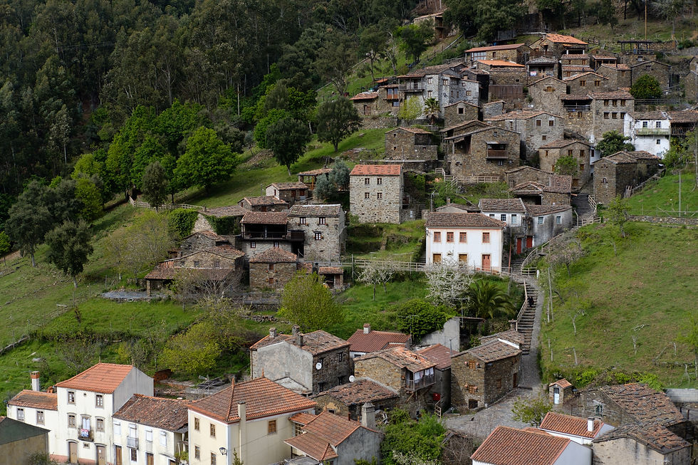Image by Luís Cardoso