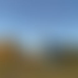 What Is a Reformed Church?